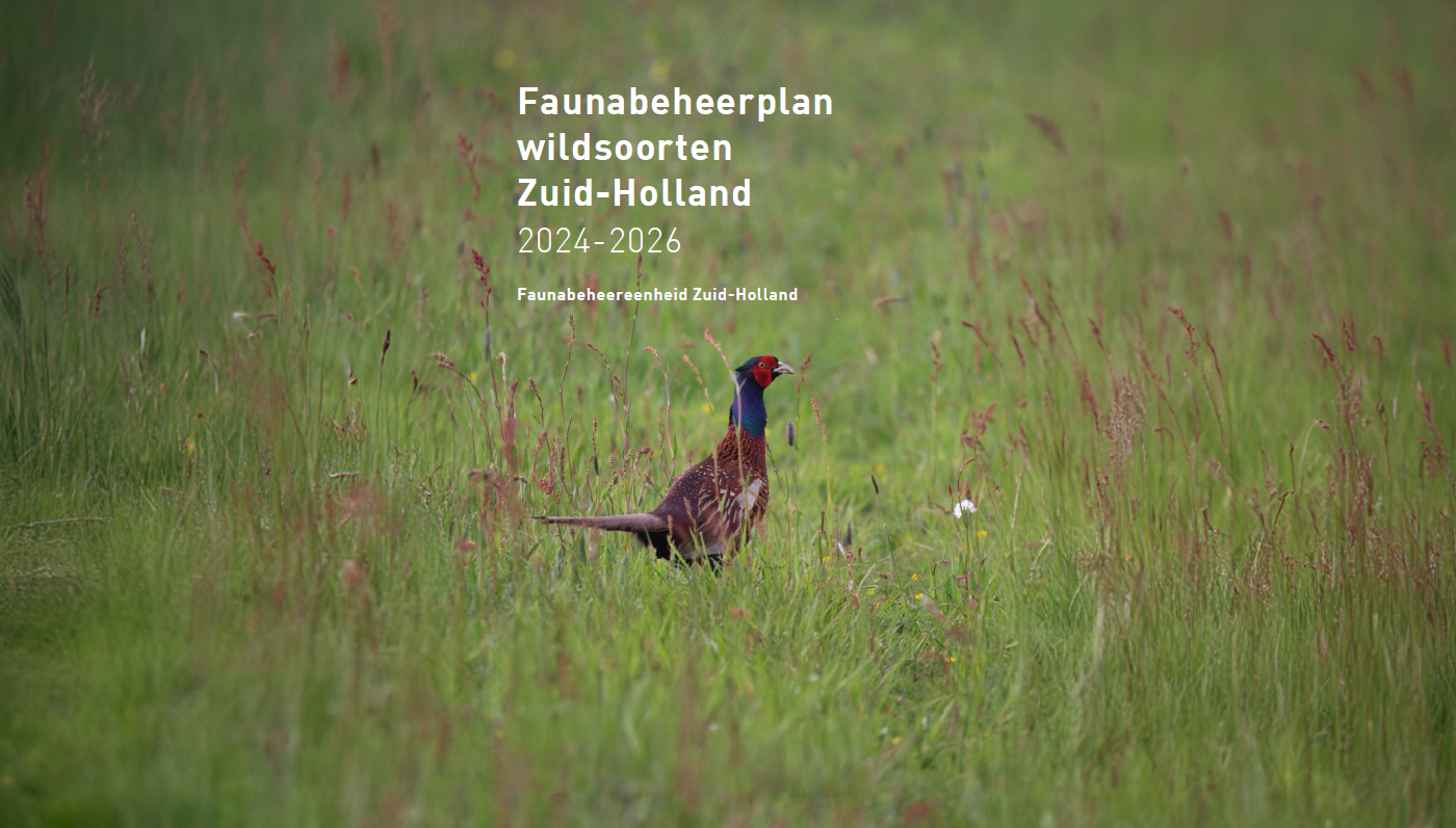 Nieuw faunabeheerplan wildsoorten